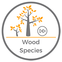 Wood Species Video